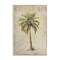 Stupell Industries Vintage Palm Tree Wall Plaque Design By Andrea Haase